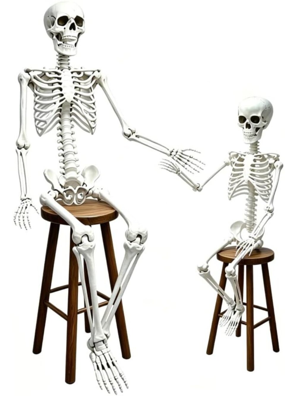 Life-Size Posable Plastic Skeleton Decor - 5.4ft & 3ft Halloween Prop
